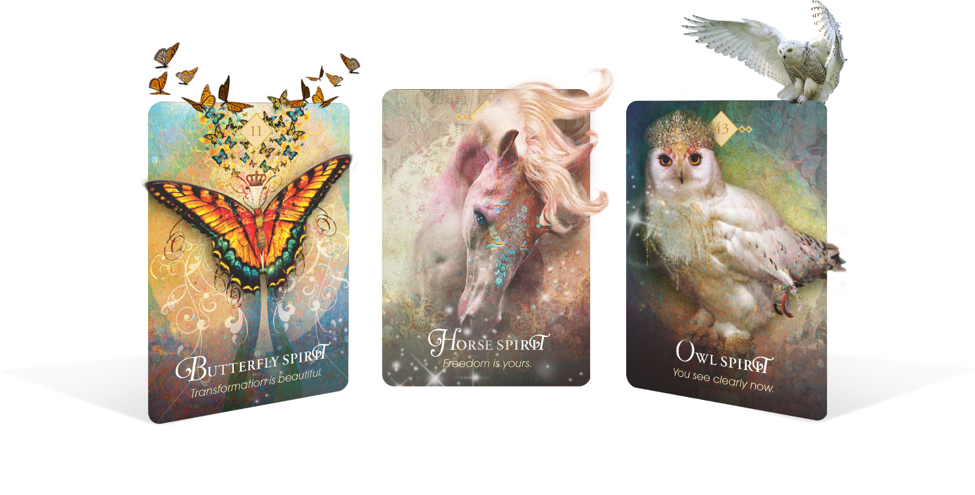 All Oracle Cards
